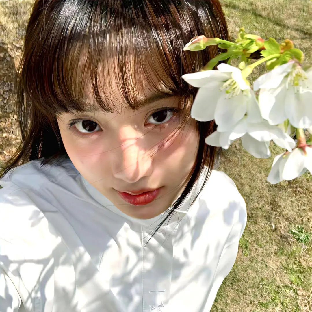 爱如风过