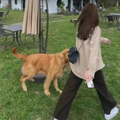 一站到底少年季